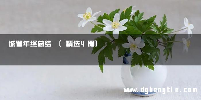 城管年终总结 (精选4篇)